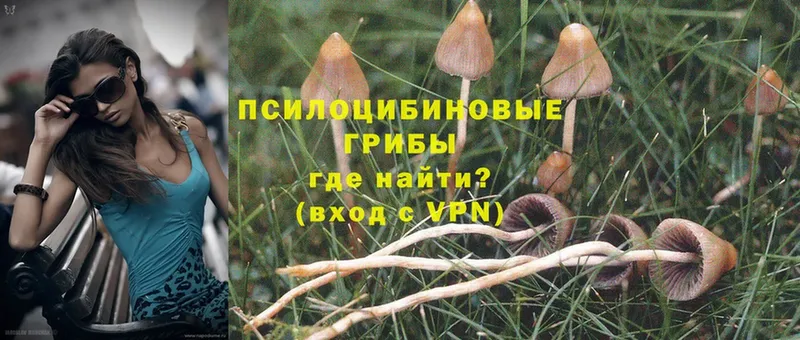 Галлюциногенные грибы MAGIC MUSHROOMS  mega tor  Анапа 